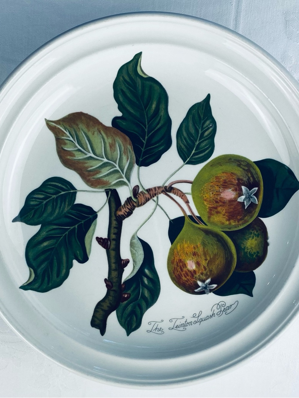 Portmeirion Pomona The Teinton Squash Pear Dinner Plate 10.5” wide